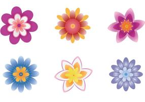 Polynesian Flower Vector