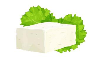 Feta-Käse-Stück im Cartoon-Stil detaillierte Zutat isoliert auf weißem Hintergrund. griechischer Quarkweißkäse aus Schafsmilch oder Milchbohne. Vektor-Illustration vektor