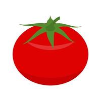 tomat platt flerfärgad ikon vektor