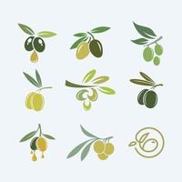 olive logos sammlung symboldesigns für unternehmen vektor