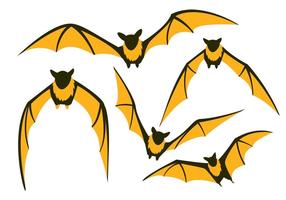 Flying Fox Vector Bat Pack