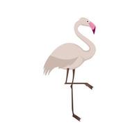 Flamingo flaches mehrfarbiges Symbol vektor
