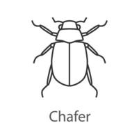 Lineares Symbol für europäischen Käfer. Melontha. dünne Liniendarstellung. Juni-Bug. Kontursymbol. Vektor isoliert Umrisszeichnung