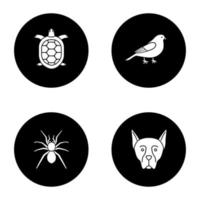 Haustiere Glyphen-Symbole gesetzt. Schildkröte, Kanarienvogel, Spinne, Dobermann. Vektor weiße Silhouetten Illustrationen in schwarzen Kreisen