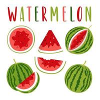 Wassermelonenillustrationssatz mit Beschriftung, lokalisiert auf weißem Hintergrund. ganze und geschnittene Wassermelonen. Vektor-Cliparts für Ihr Design. vektor