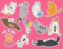 set klistermärken söta tecknade katter olika raser. lata katter med alkohol och bokstäver. roliga katter i olika poser. vektor kawaii illustration.