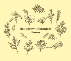 satz von handgezeichneten botanischen blumen, blättern und zweigen kritzeln. vintage botanische blumenillustration. vektor