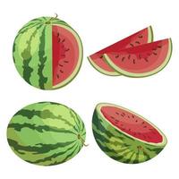 eine Reihe bunter Wassermelonen, eine ganze Wassermelone, eine halbe Wassermelone und geschnittene Wassermelonenstücke. realistische fruchtillustration. ikonen, dekorelemente