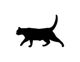 siluett av en katt på en vit bakgrund. djur clipart vektor design illustration.