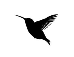 Silhouette eines Vogels oder Kolibris auf weißem Hintergrund. Tier-Clipart-Vektor-Design-Illustration.