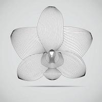 Vektororchideenblume. Illustration für Ihr Design. vektor