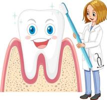 Zahnarzt Zähneputzen Bit mit einer Zahnbürste auf weißem Hintergrund vektor