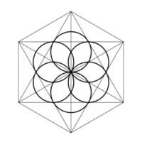 Samen des Lebens. Heilige Geometrie-Vektor-Illustration vektor