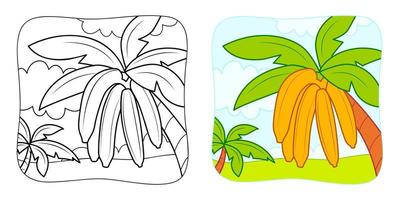 Malbuch oder Malseite für Kinder. Bananen-Vektor-Illustration-Cliparts. Naturhintergrund. vektor