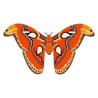 Schmetterling-Vektor-Illustration-Cliparts. süßer schmetterling isoliert. vektor
