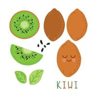 uppsättning frukter. sommarfruktsamling. frukt kiwi. vegetarisk och ekologisk mat. vektor illustration