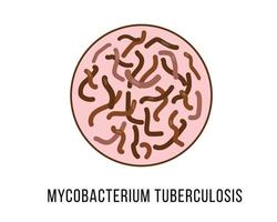 mycobacterium tuberculosis. medicinskt koncept. vektor illustration på vit bakgrund.