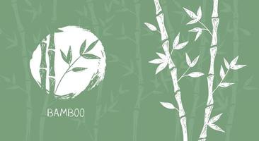 Bambusbaum. handgezeichneter Stil. Vektorillustrationen.