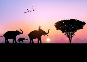 Silhouettenbild Schwarzer Elefant mit Elefanten-Mahout, der am mit Berg- und Sonnenuntergangshintergrund Abendlicht-Vektorillustration spazieren geht vektor