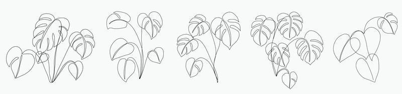 enkelhet monstera blad frihand kontinuerlig linjeritning platt design. vektor