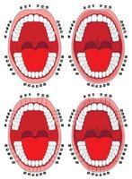 Zähne. Mundhöhle. vektorillustration der mundhöhle mit zähnen, die für zahnkliniken, poster, broschüren nummeriert sind. vektor