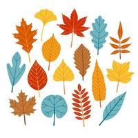 Herbstlaub verschiedene Farben und Größen flaches Design Vektor-Illustration vektor