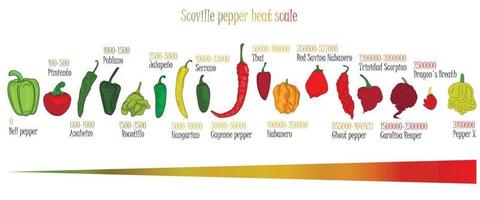 scoville pepper värmevåg. pepparillustration från sötaste till mycket het på färgbakgrund. vektor