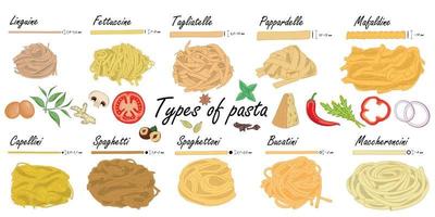 typer av pasta. lång pastaskillnad, illustrationsexempel. vektor