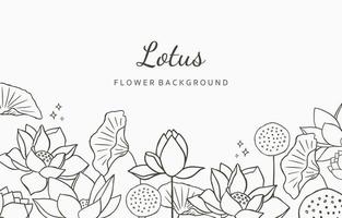 Schwarzer Lotus-Hintergrund. Strichzeichnungen für Postkarten, Einladungen, Verpackungen vektor