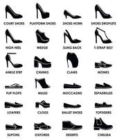 skor set. typer och stilar av skor utförda som ikoner för modewebben. vektor illustration.