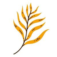palmgren med gula löv vektor ikon. handritad tropisk växt med ådriga blad, på en stjälk. vissnande höst ört, platt tecknad clipart. illustration isolerade på vitt. exotisk trädkvist