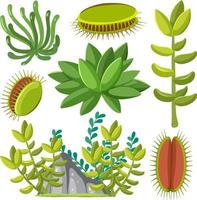 olika växter seamless mönster vektor