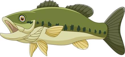 Cartoon Bass Fisch isoliert auf weißem Hintergrund vektor