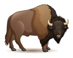 Cartoon-Bison isoliert auf weißem Hintergrund vektor