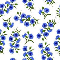 Vektor Musterdesign mit blauen Kornblumen auf weiß. kann für Stoff, Textil, Scrapbooking, Geschenkpapier verwendet werden.
