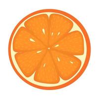 saftige orange vegane fruchtvektorflache isolierte illustration vektor