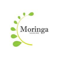 moringa leaf logotyp illustration vektordesign vektor