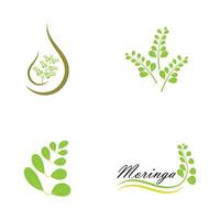 Moringa-Blatt-Logo-Illustrationsvektordesign vektor