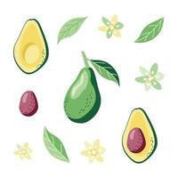 Avocado-Clipart-Set mit Blättern und Blüten vektor