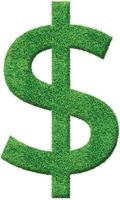 grönt gräs texturerat dollartecken, peso tecken. naturliga miljövänliga lummiga dollarsymbol, tecken estetik i färskt grönt gräs mönster vektor