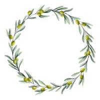 Olivenkranz. aquarell botanischer runder rahmen mit lorbeerzweigen für hochzeitseinladungen oder grußkarten. Blumenkreisrand für Öletikett vektor