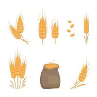 Set aus goldenem Weizenähren, Körnern zur Herstellung von Mehl, Backen von Brot und anderen Lebensmitteln und Beutel mit Samen. flache vektorillustration vektor