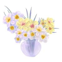 Blühender Blumenstrauß aus gelben und weißen Narzissen in einer Glasvasenillustration, isolierter Vektor
