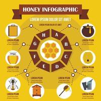 Honig-Infografik-Konzept, flacher Stil vektor