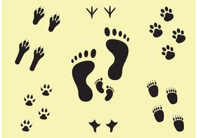 Nächste Schritte Footprint Vector Set