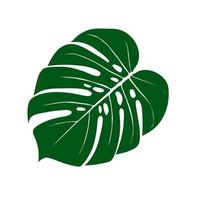 monstera deliciosa växtblad från tropiska skogar isolerade. vektor för gratulationskort, flygblad, inbjudningar, webbdesign