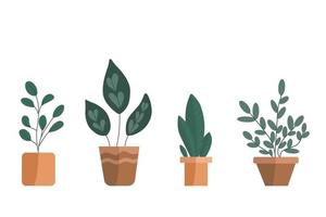 Sammlung von Topfpflanzen. handgezeichneter Vektor und Zimmerpflanzen. Set von Zimmerpflanzen-Vektor-Cartoon-Doodle. Vektor-Illustration
