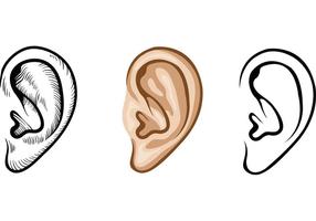Menschliche Ohren Vektoren