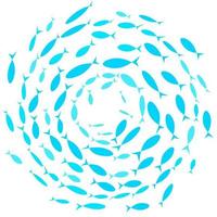 vektor siluett av en grupp färgade fiskar som simmar i en cirkel. isolerad på en vit bakgrund. perfekt för designillustrationsmallar om marint liv.
