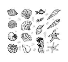 satz von meerestieren, handgezeichnet im skizzenstil. Muscheln, Algen, Fische, Seesterne und Seepferdchen. Sommer-Grußkarte vektor